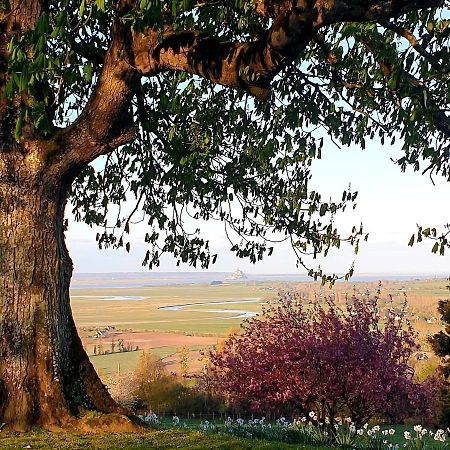 L'Abrincat'Studio, Centre Entre Donjon Et Vue Mont Avranches Exteriér fotografie